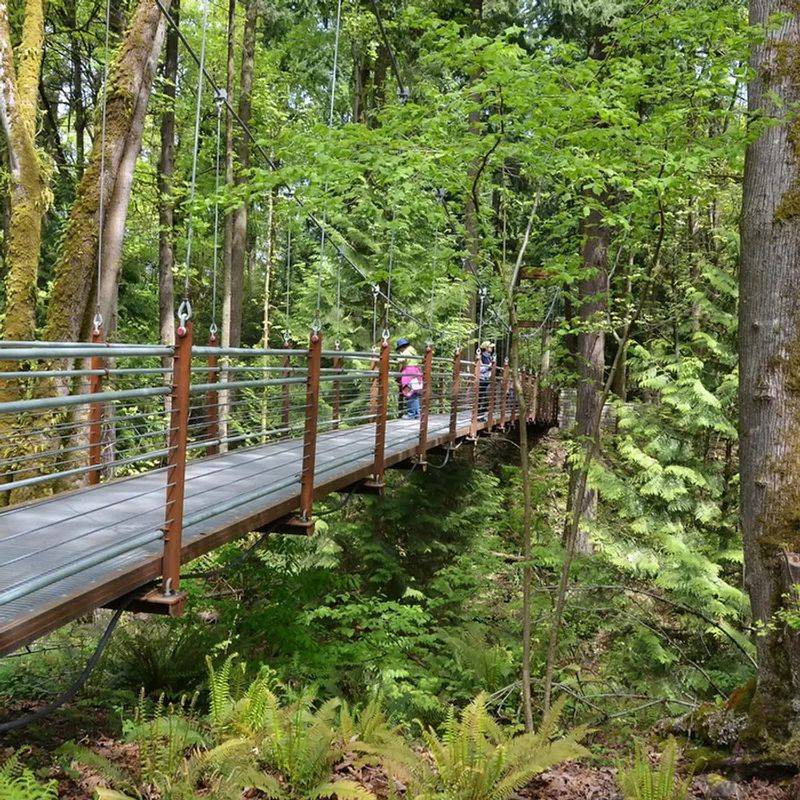 Forest Trails That Suit Every Kind of Walker Forest Trails That Suit Every Kind of Walker