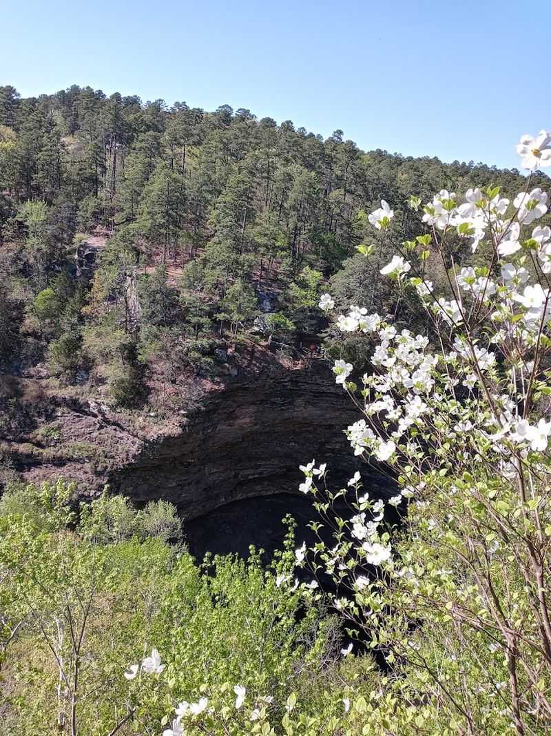 Wildflower Season Adds Color To Every Step