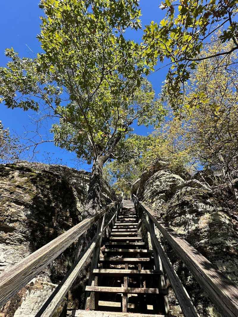 Forested Stairways Above Quiet Shorelines