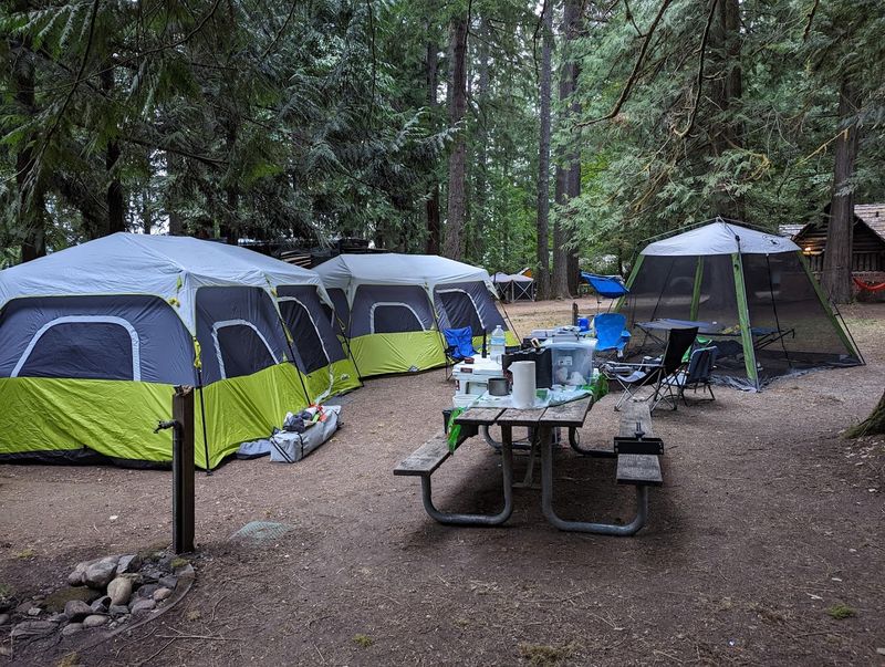 Camping Beneath The Trees On Hood Canal