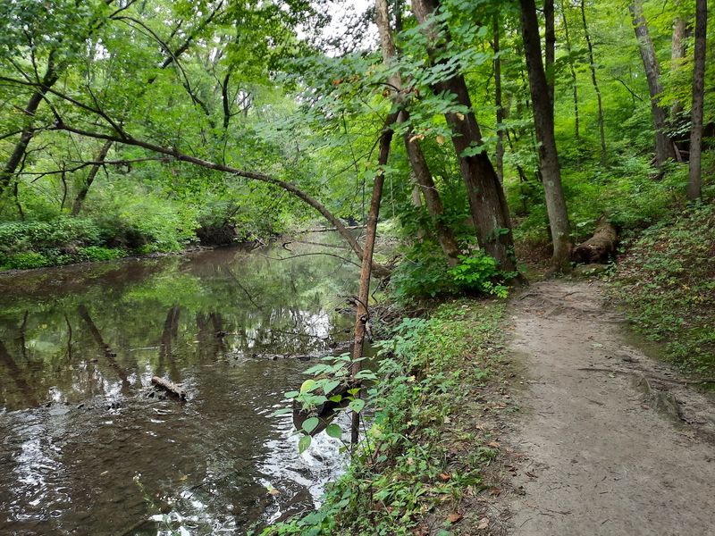 Forests, prairie, and wetlands widen the experience Forests, prairie, and wetlands widen the experience