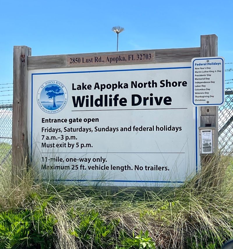 It Is Completely Free To Enter