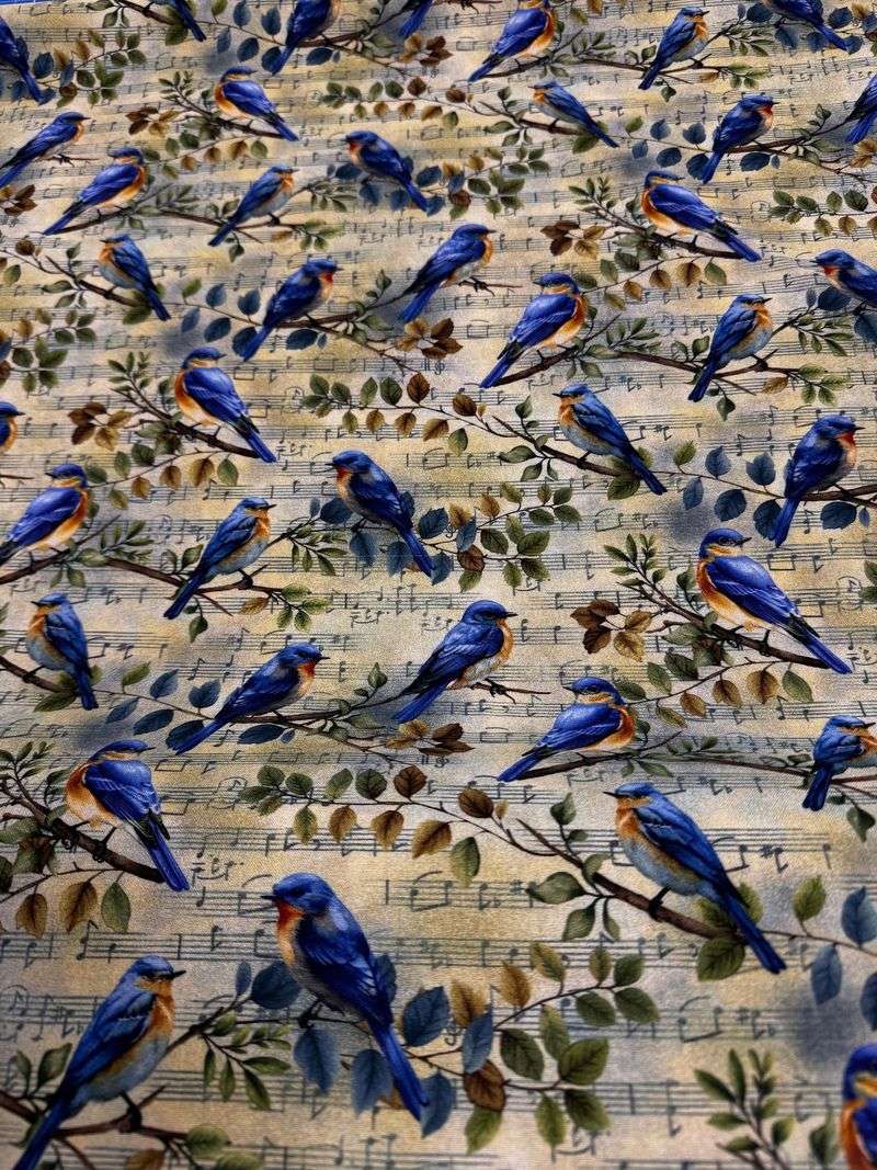 Forget Me Not Fabrics