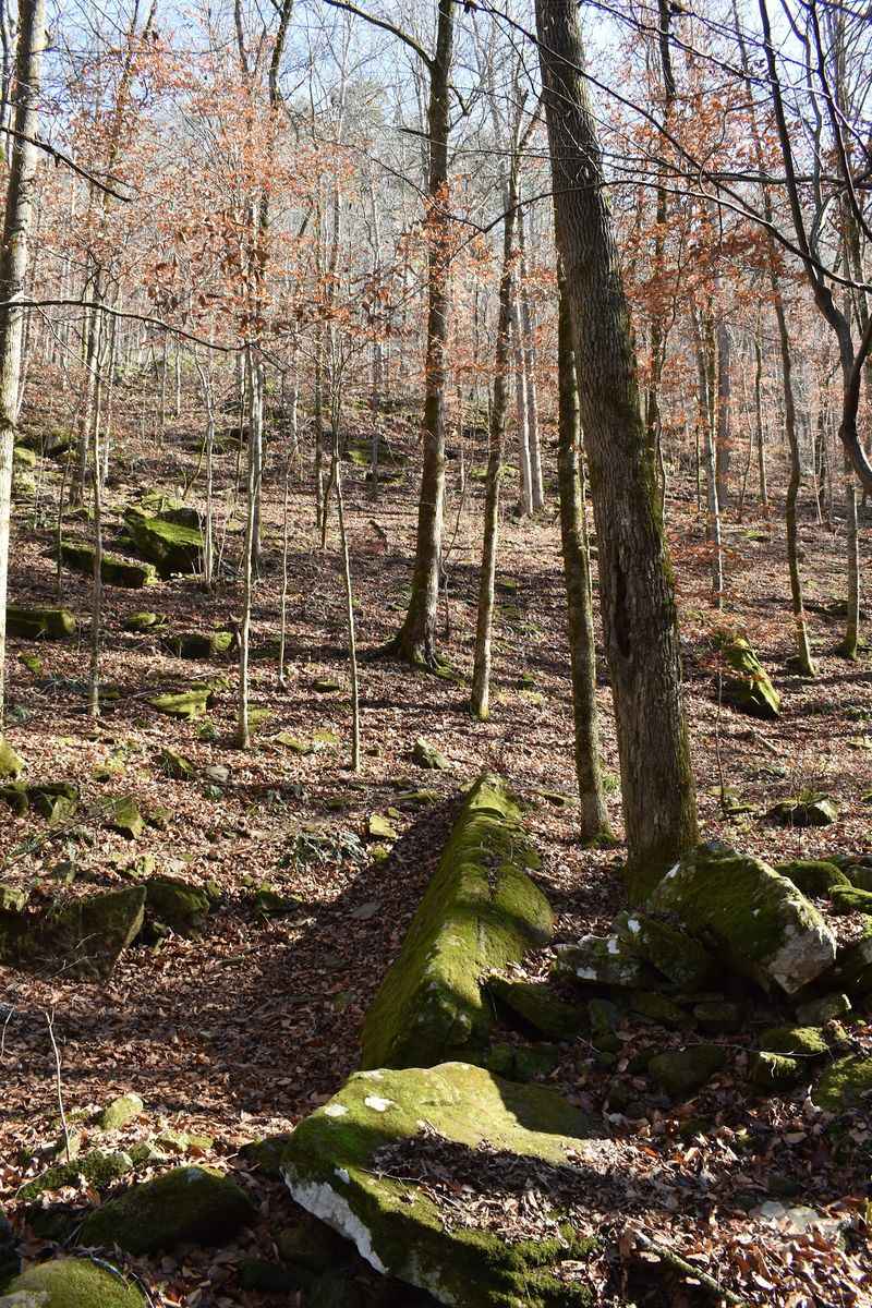Forget The Trail Signs Because There Aren't Any Forget The Trail Signs Because There Aren't Any