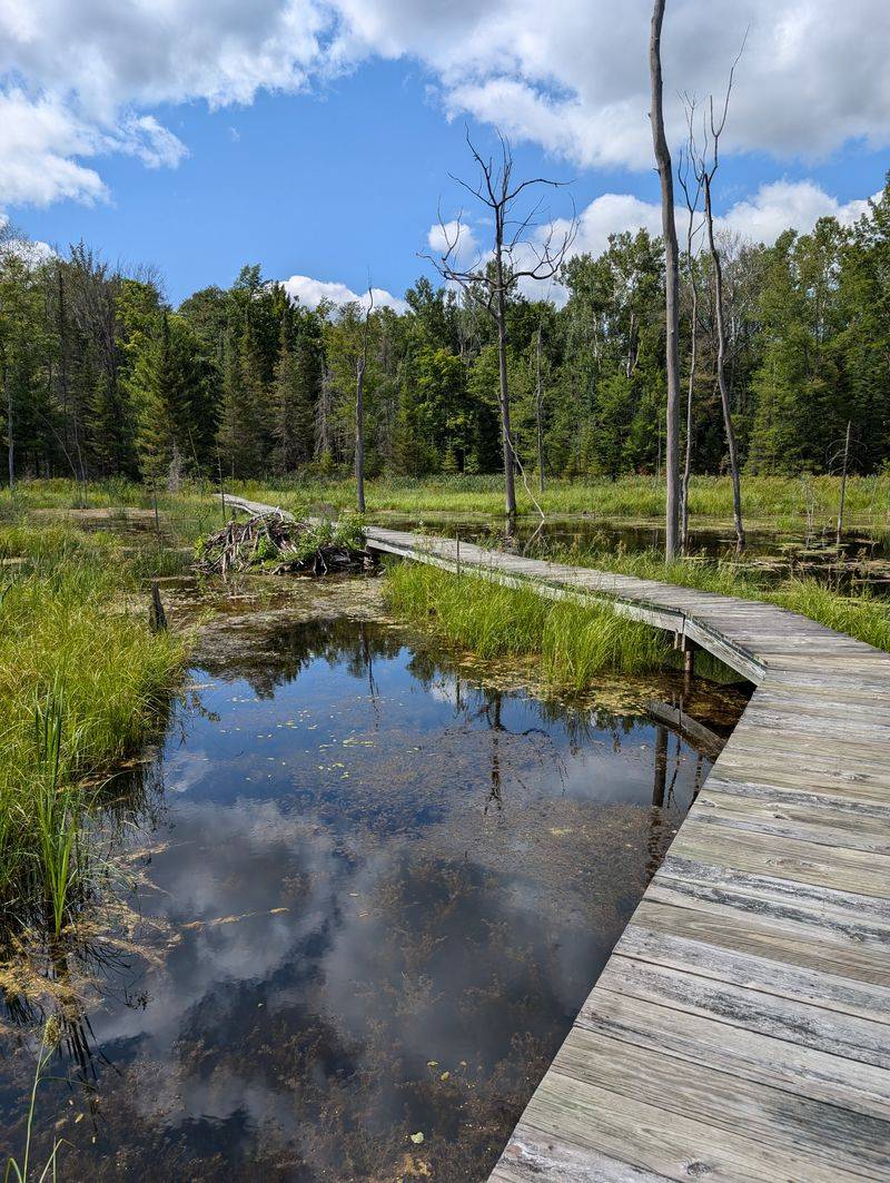 Reid Lake Foot Travel Area, Glennie
