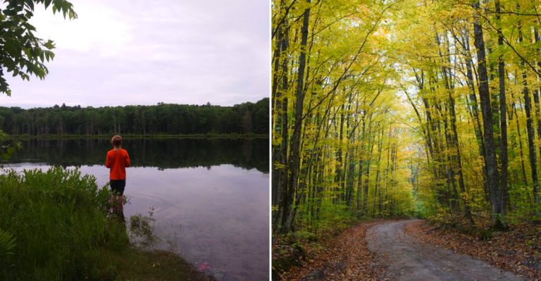 Beautiful and hidden hiking paths