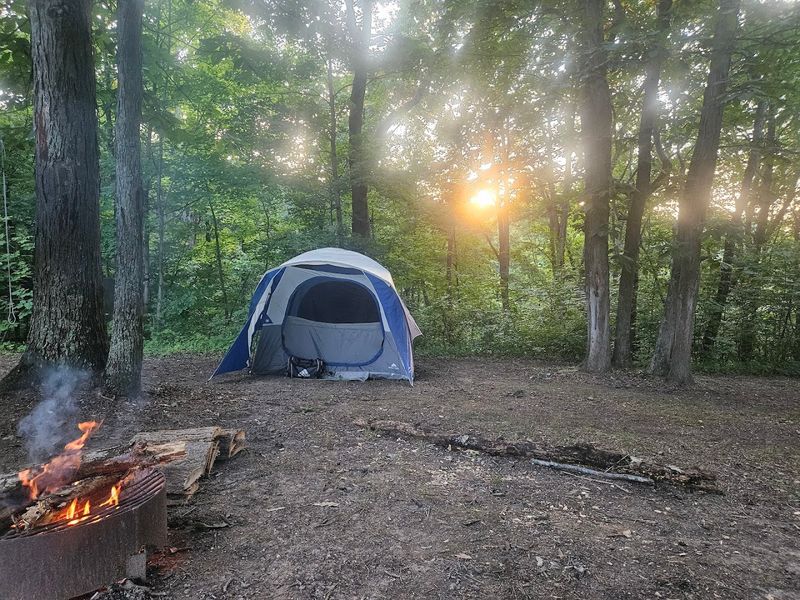 Forked Run State Park Campground, Reedsville Forked Run State Park Campground, Reedsville
