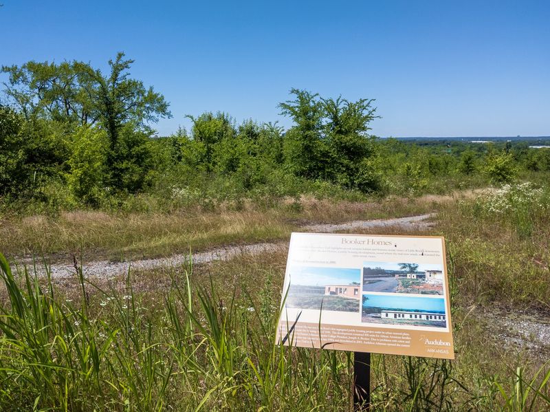 Habitats Trail Boardwalk, Little Rock Area