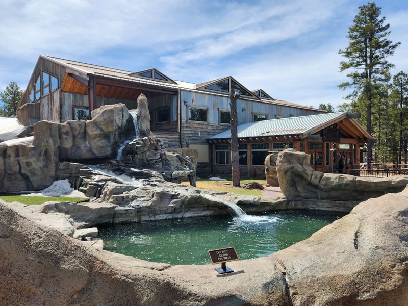 Wolf Encounters That'll Give You Chills