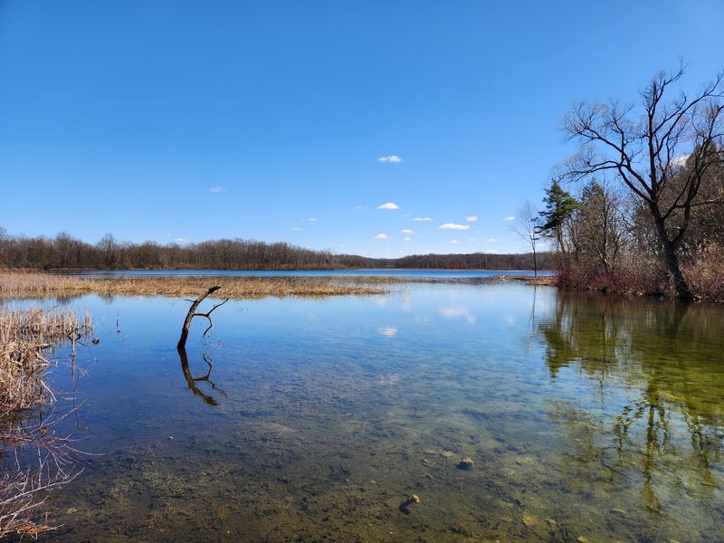 Fort Custer Recreation Area - Augusta