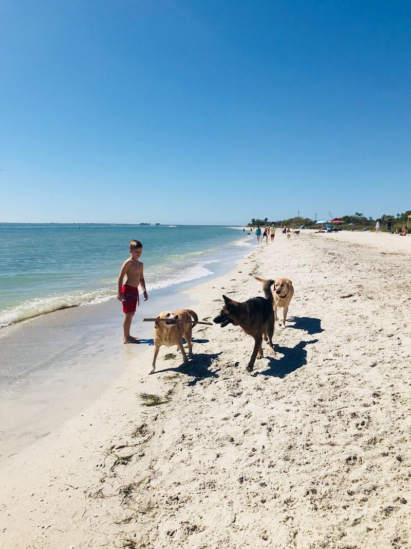 Fort De Soto Dog Beach