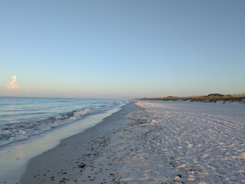 Grayton Beach State Park Campground
