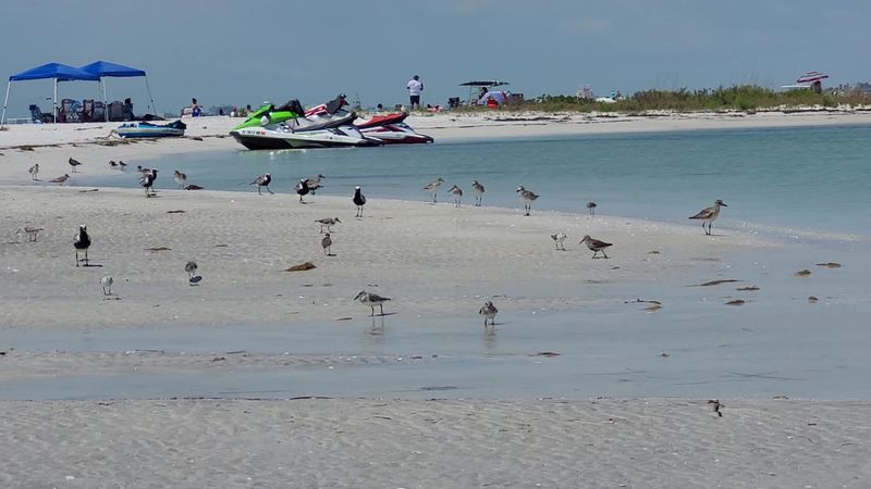 Fort De Soto Park, Tierra Verde Fort De Soto Park, Tierra Verde