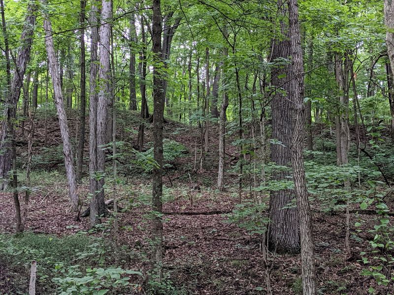 Fort Hill Earthworks & Nature Preserve, Hillsboro area