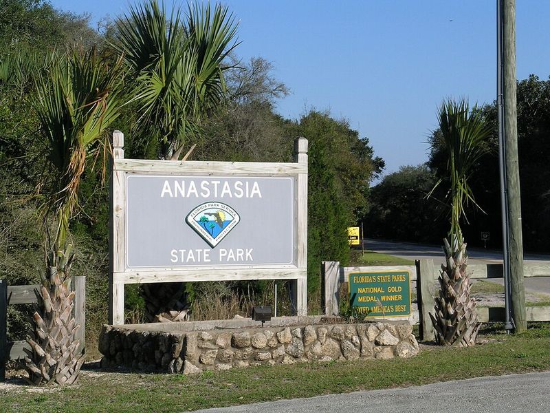 Anastasia State Park Right Next Door