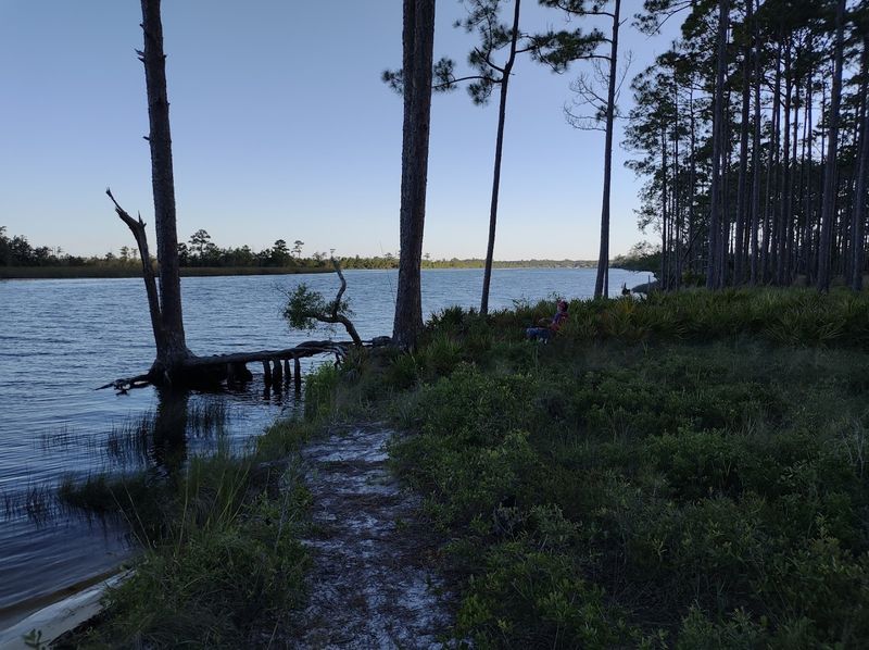 Ochlockonee River State Park, Sopchoppy,