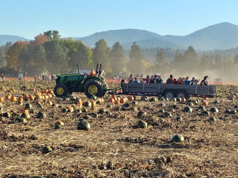 Fort Vannoy Farms Fort Vannoy Farms