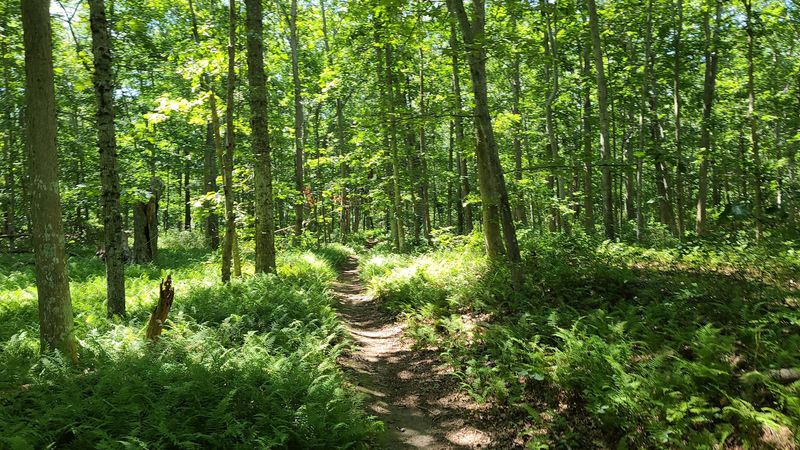 Forty Miles Of Trails Wait Beyond The Beach