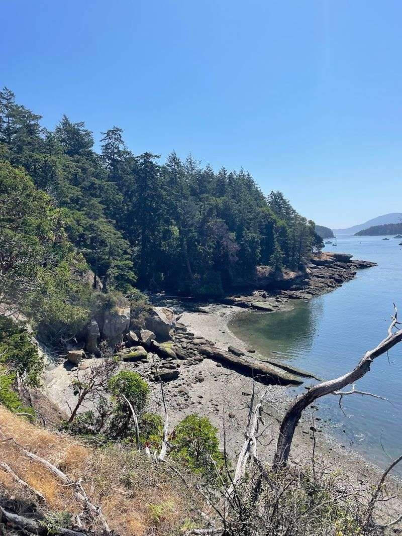 Fossil Bay And The Dinosaur Bone That Changed Everything