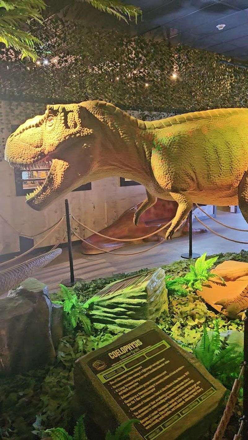 Live Reptile Exhibit