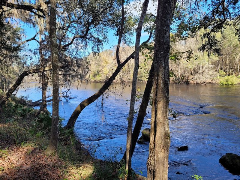 The Suwannee River Connection