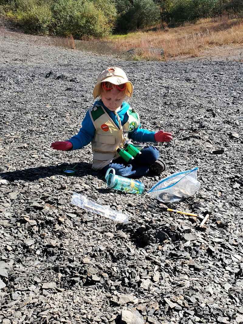 Kids And Beginners Find Fossils Surprisingly Quickly
