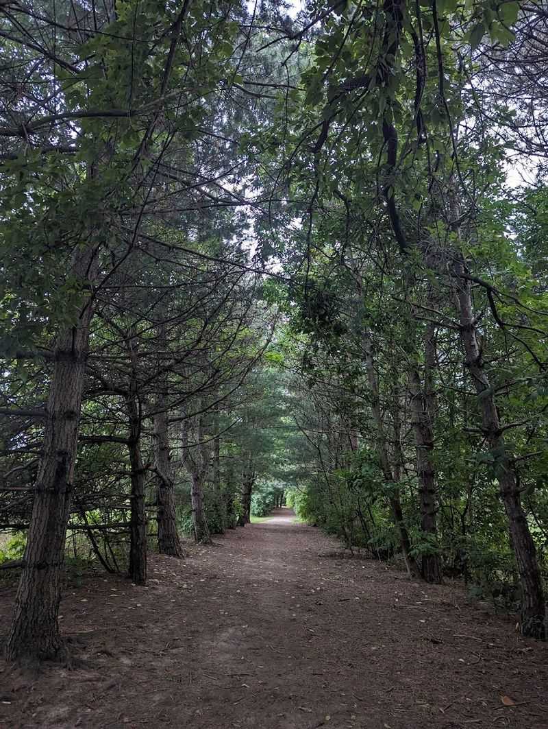 Fossil Hill Is The Climb To Remember