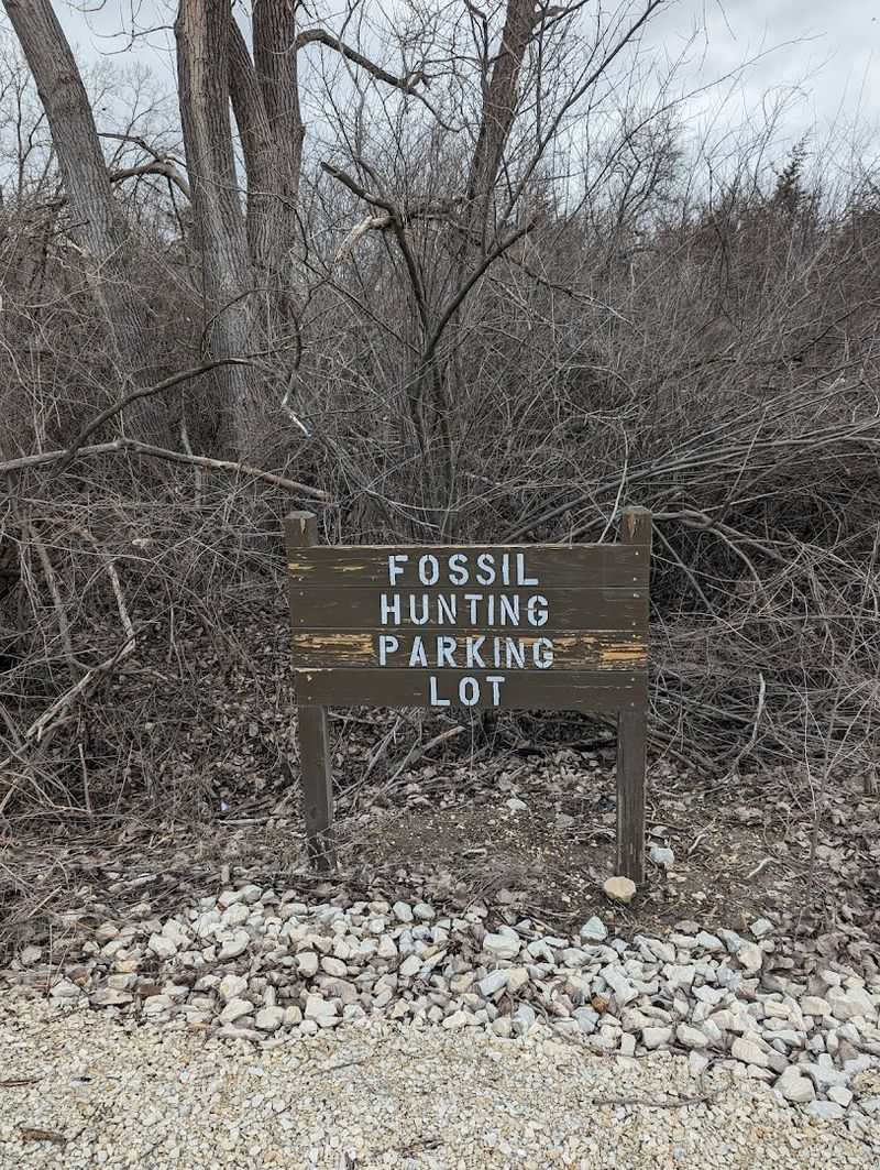 Fossil Hunting, With A Permit