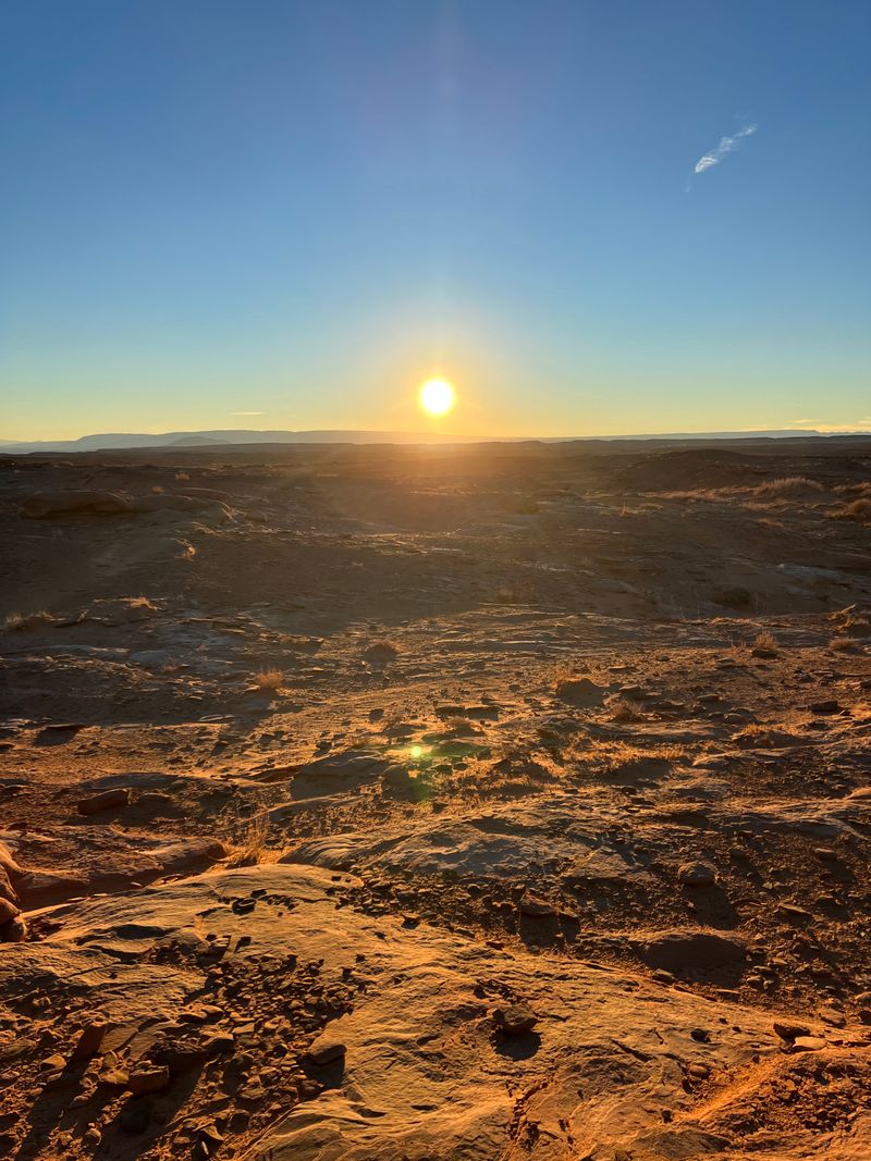 Ancient Riverbeds And Marine Fossils