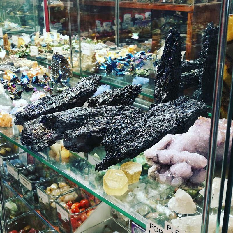 Fossils And Shark Teeth Are Among The Most Exciting Finds