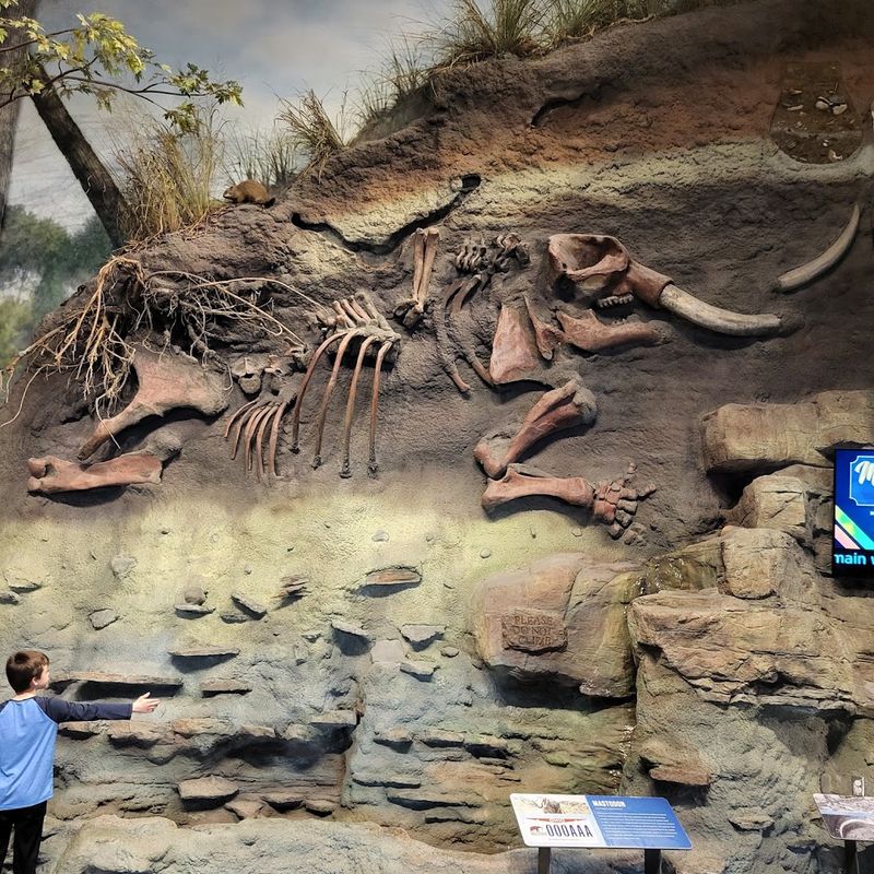 Fossils, Archaeology, And A Surprising Amount Of History