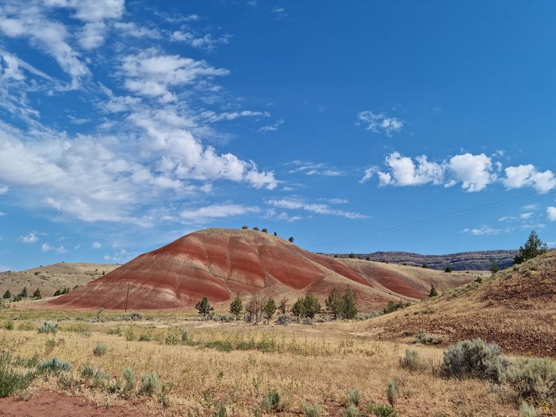 Fossils Hiding In Plain Sight