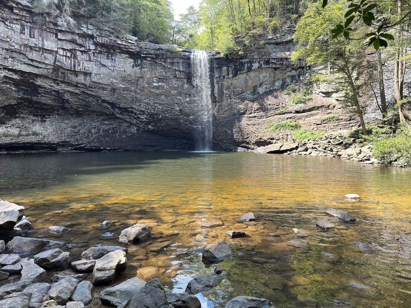 Foster Falls Swimming Hole