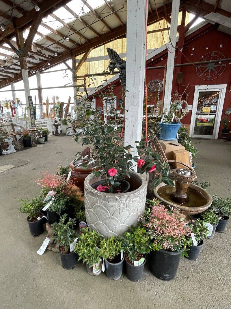 Fountains, Birdbaths, And Whimsical Statuary