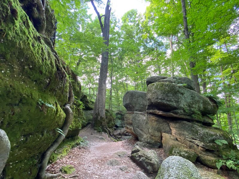 Four Color-Coded Trails, Roughly 1.6 Miles Total