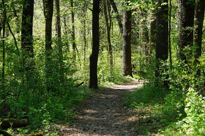 Four Looping Trails For Every Skill Level Four Looping Trails For Every Skill Level