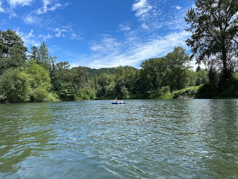 Four Miles Of Scenic Washington River Beauty