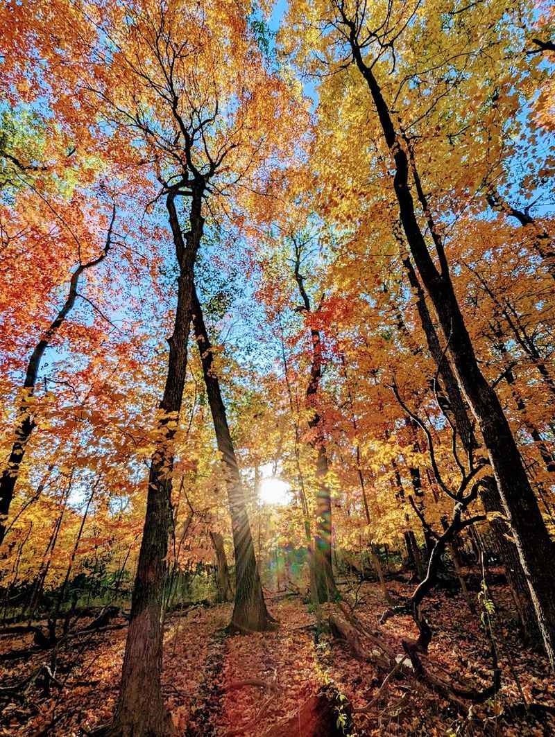 Four Seasons Bring Completely Different Experiences