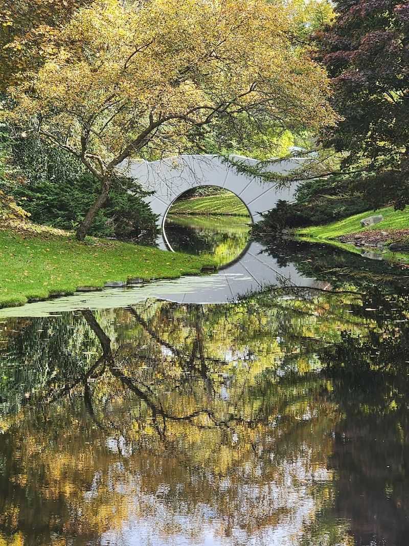 Bridges, Ponds, And Reflections