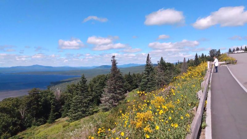 Four Seasons, Four Different Roads