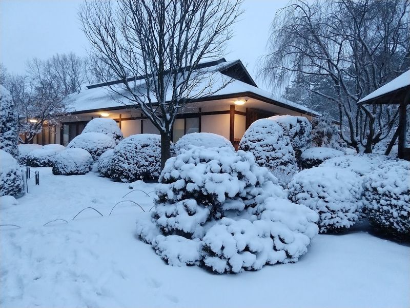 Four Seasons, One Garden