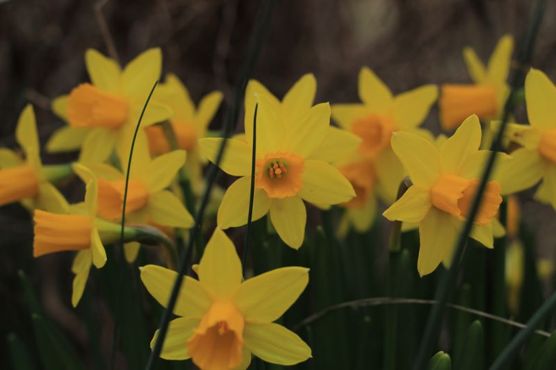 Four Seasons Worth Watching