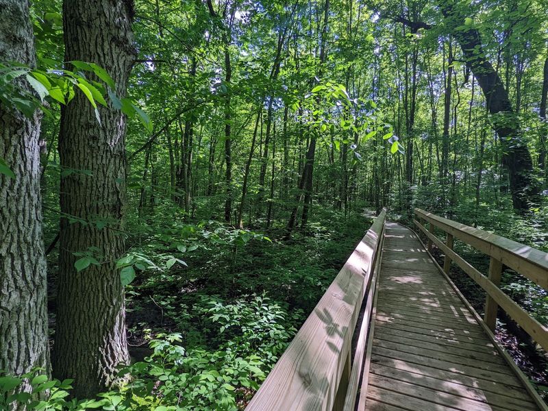 Fowler Woods State Nature Preserve, Greenwich, Ohio