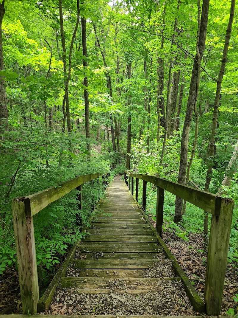 Fox Ridge State Park Trails