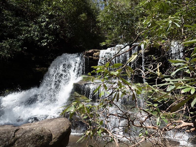 Warwoman Dell To Becky Branch Falls