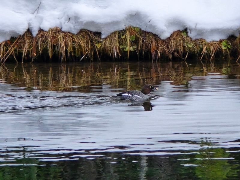 Visit In Different Seasons