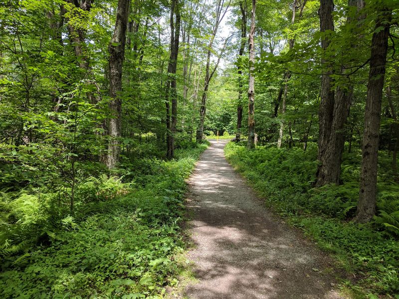 Frank Gantz Trail, Tobyhanna State Park