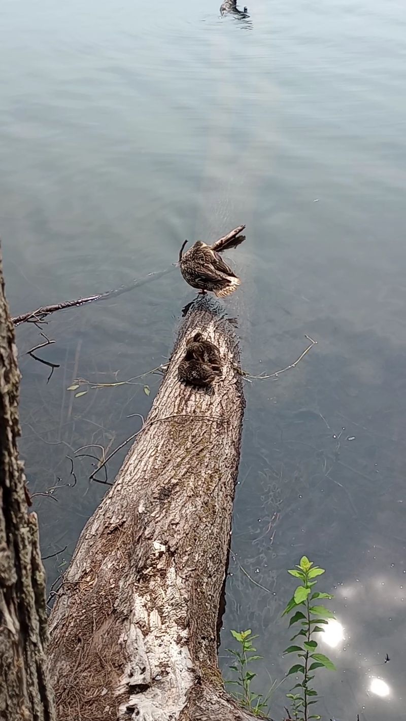 Silver Lake State Park