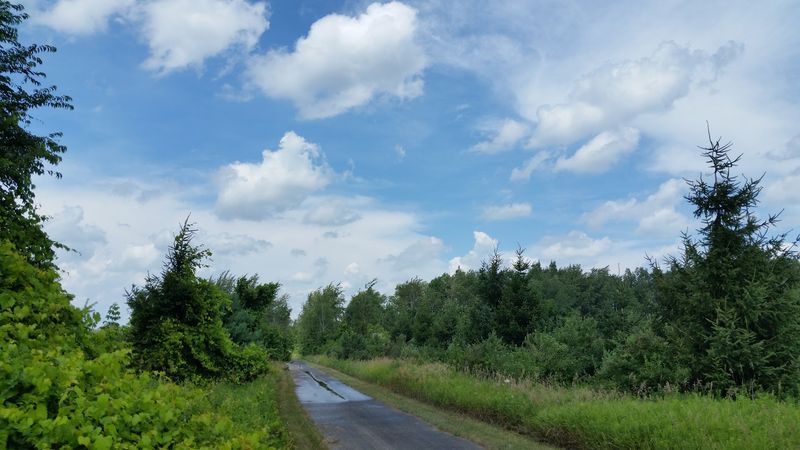 Fred Meijer Heartland Trail