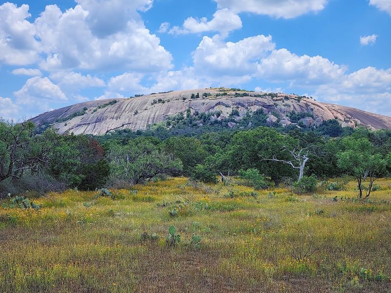 Fredericksburg + Enchanted Rock